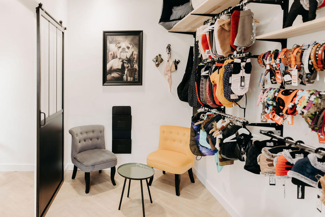 Photo de la salle d'attente et boutique